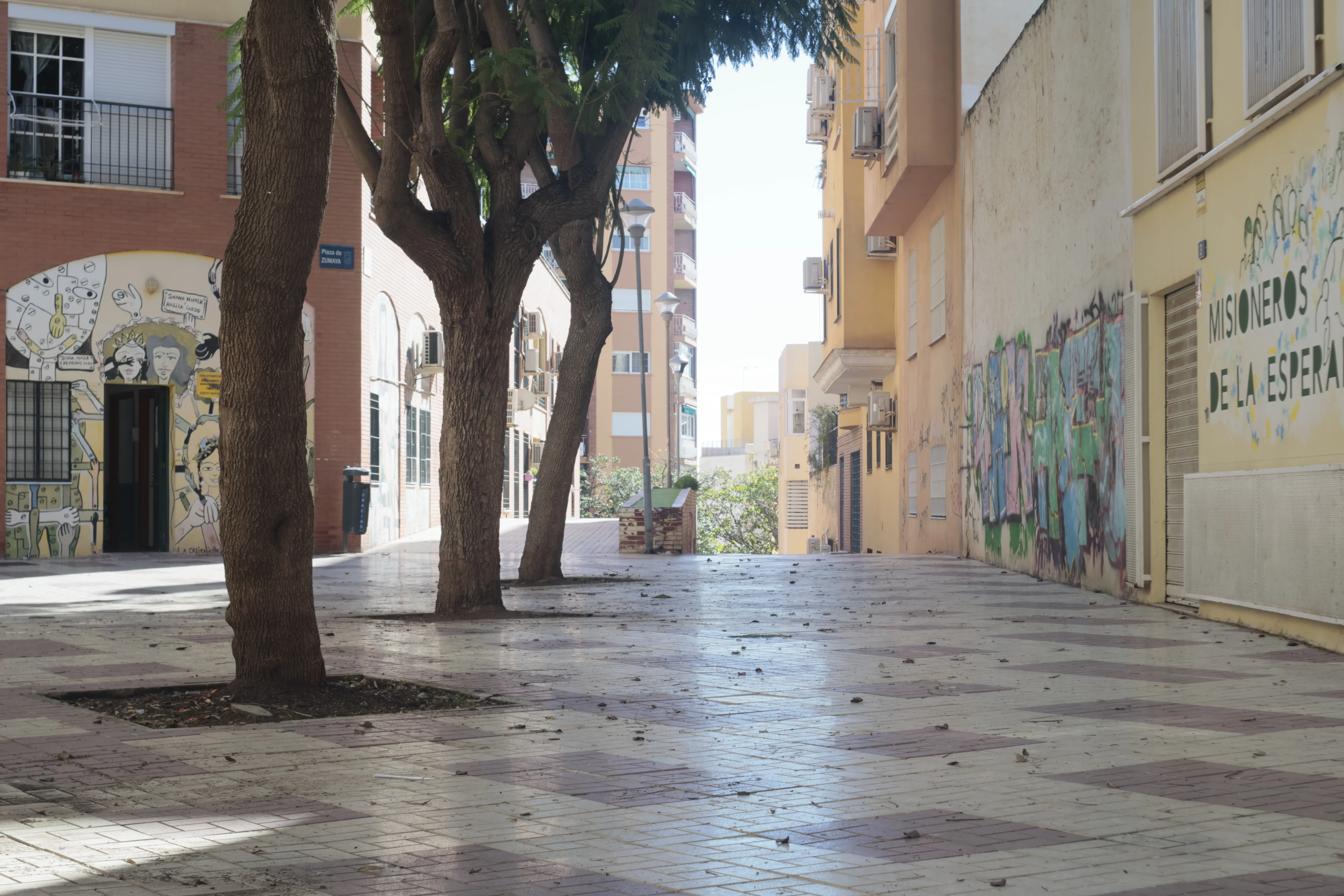 Meyer-Optik Görlitz Primagon 35mm f4.5 (M42) - _I4A0967.webp